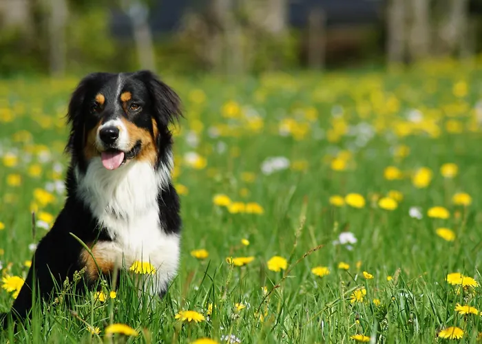 Διαμέρισμα Ferienwohnung Nordeifel I *